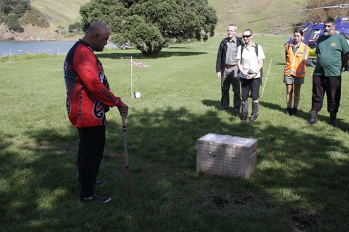 Kiwi release Motutapu 2