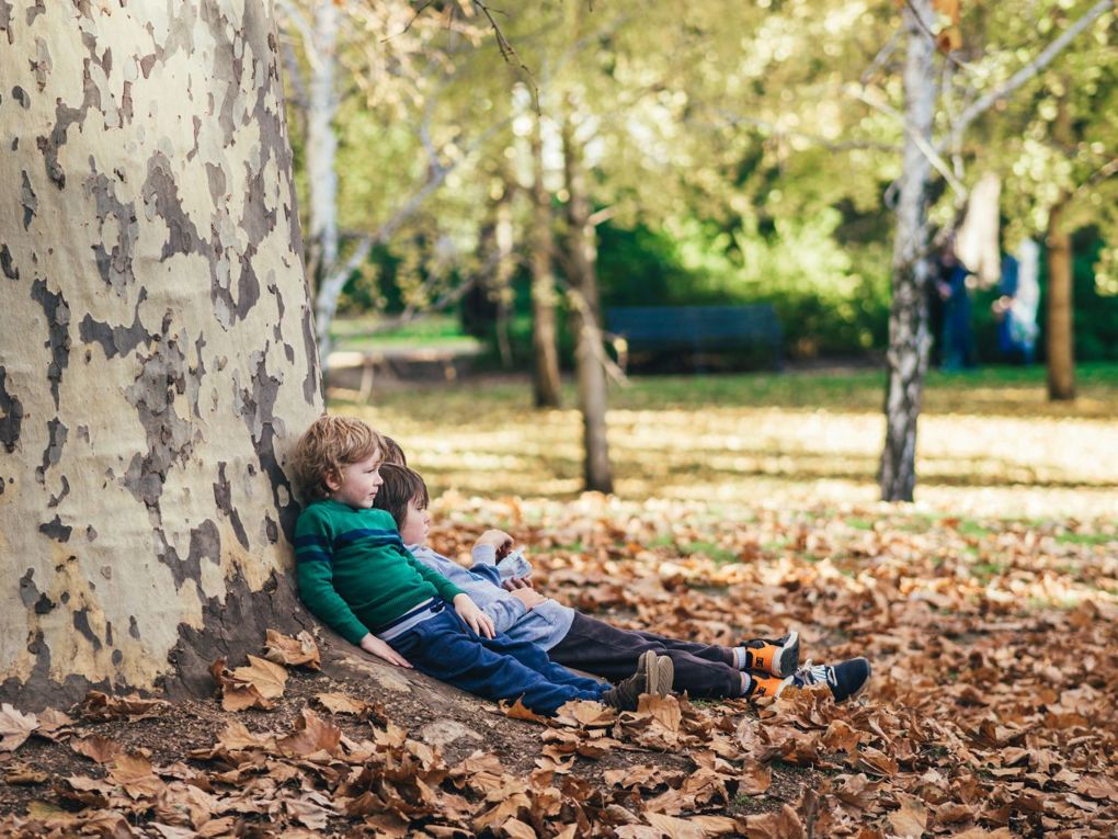 Kids With Tree OA
