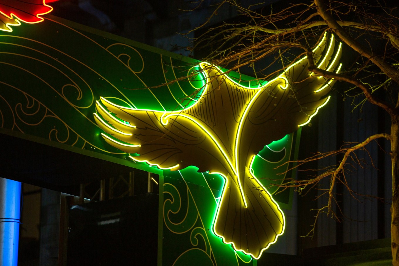 Tūrama returns to Queen Street for Matariki Festival 2025.