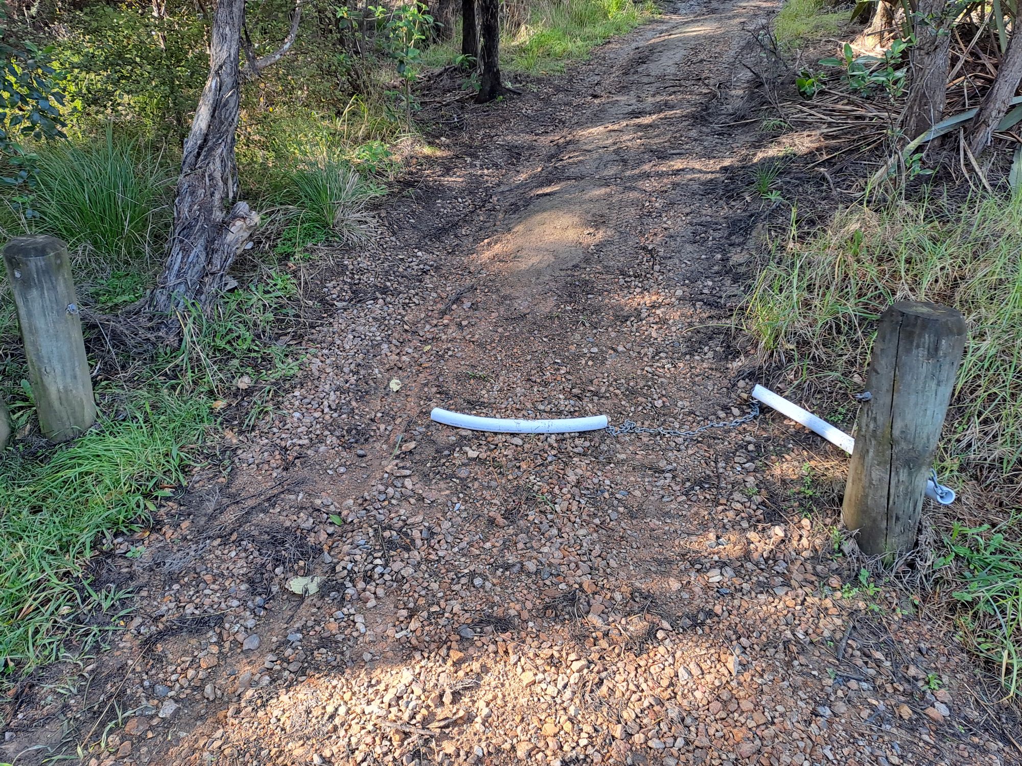 Whakanewa Regional Park.