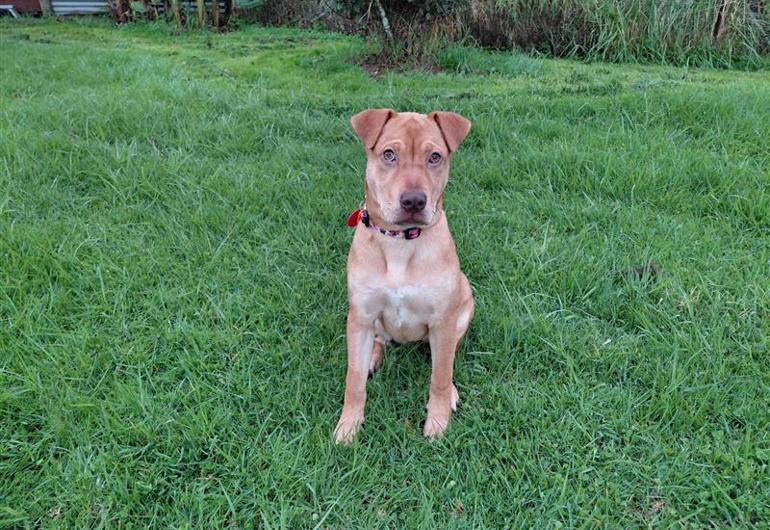 1121Ec6b 098B 4209 A2a9 Bdc65c34943f