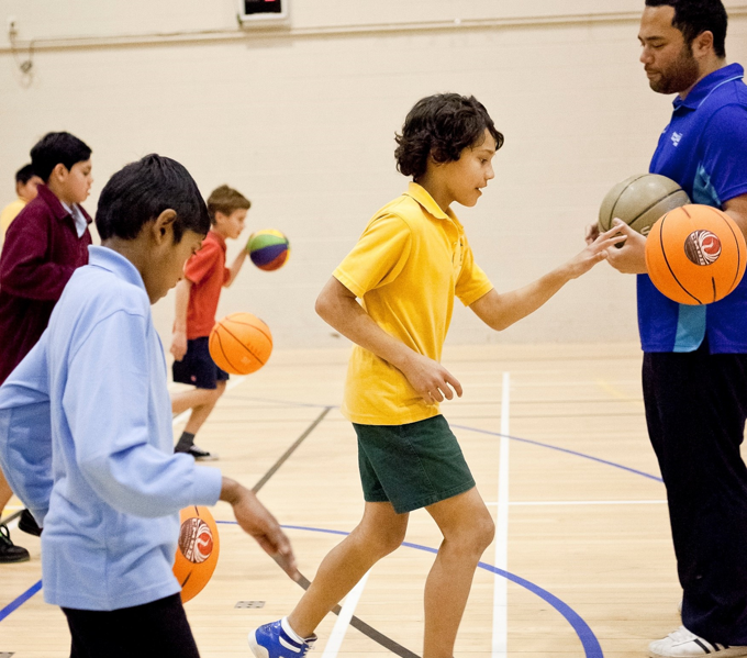 Have your say on indoor courts at Huapai Domain