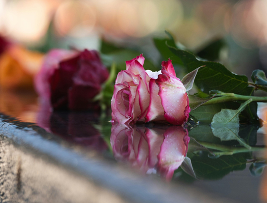 Dying Matters Remembering, Reflecting, Renewing_dacytwy2.png
