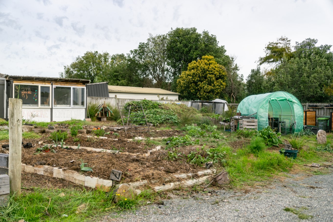 Māngere Community Enviro Hub garden.