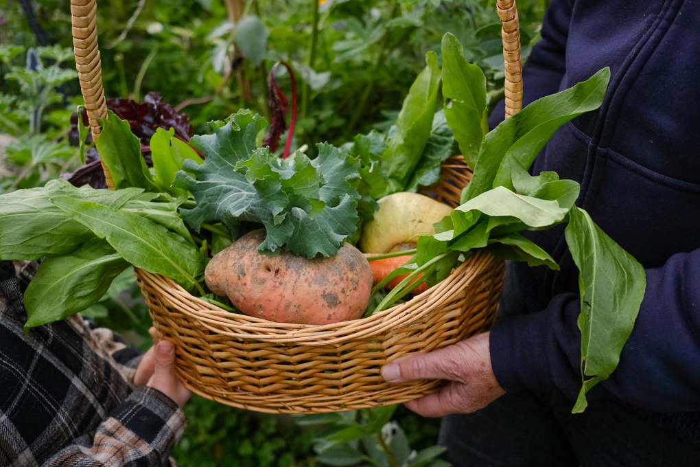 food-workshop-photos_sbuxivhp.jpg