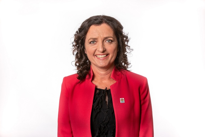 Orange road cones show Auckland is getting stuff done