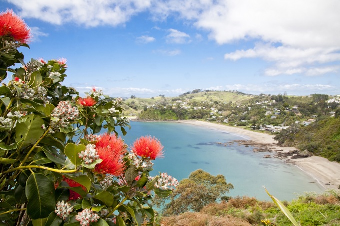 New timeline for Waiheke area plan