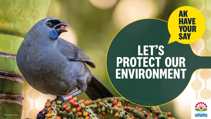 Ourauckland Protect Environment Consultation Resized