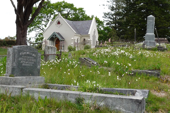 Waikumete Wildflowers (6)