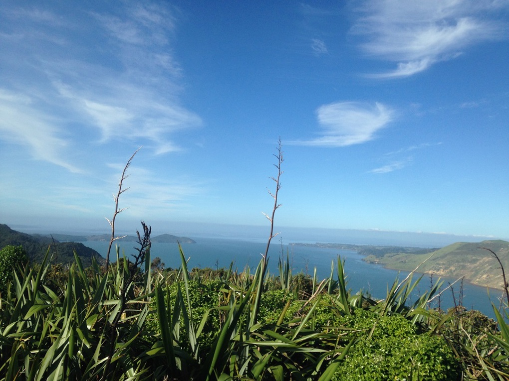 Manukau Harbour