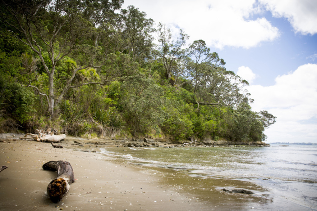 Auckland walks to do this winter (7)