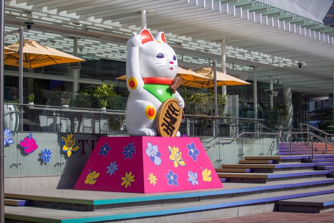 Xin Xin in Aotea Square image 2