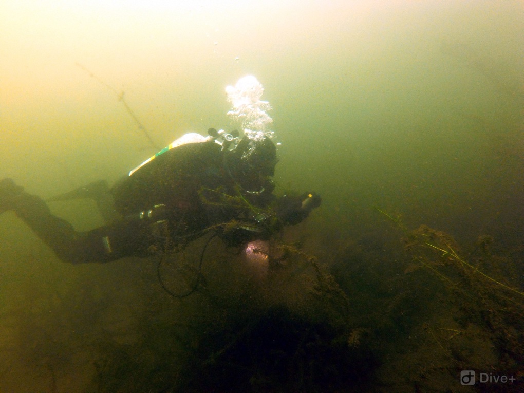 Lake Pupuke2