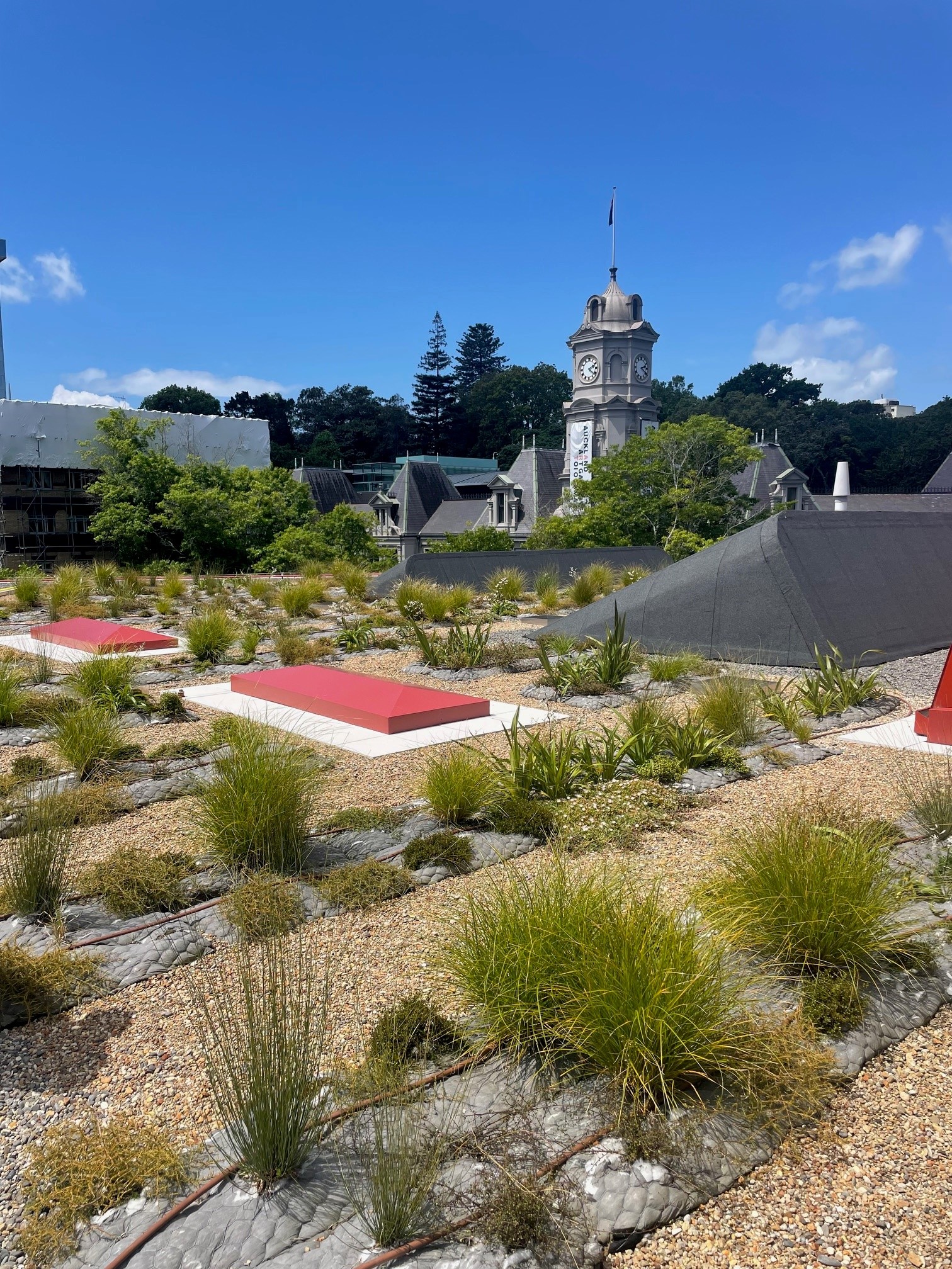 Central City Library roof one year on