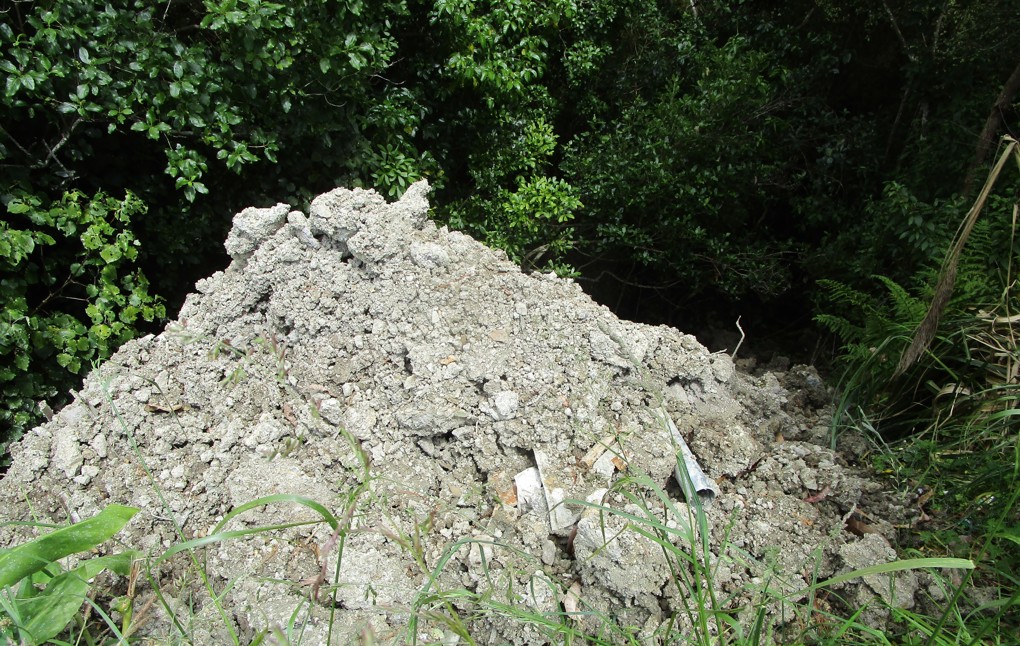 Illegal dumping earns Auckland man community work