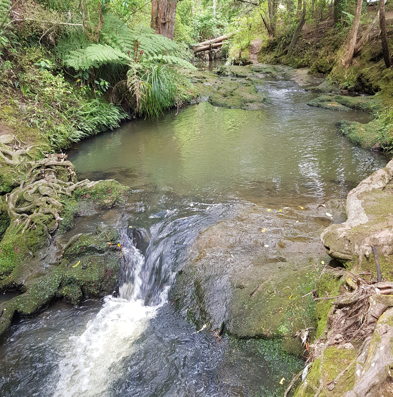 A river flowing downstream.