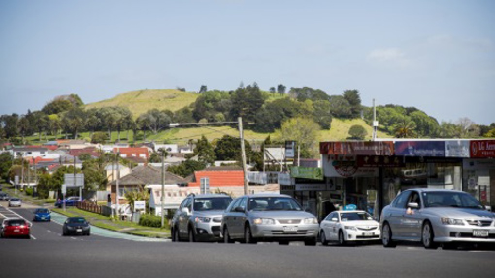 Spotlight on Puketapapa 1