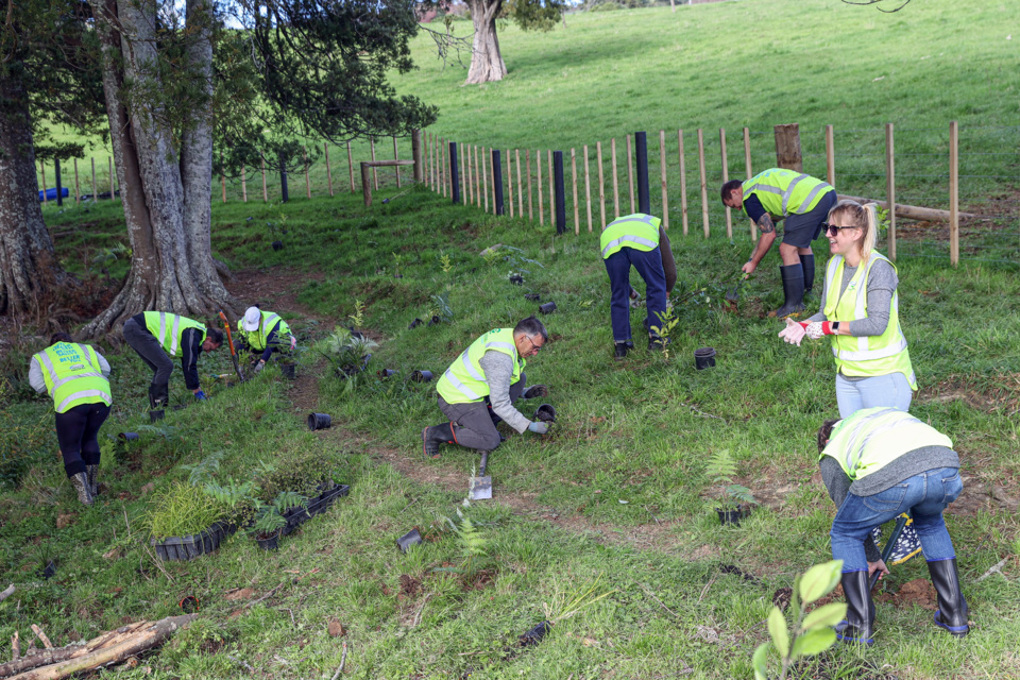 38 392858 Planting Day Stream Launch