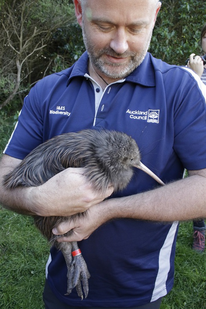 Kiwi release Motutapu 7