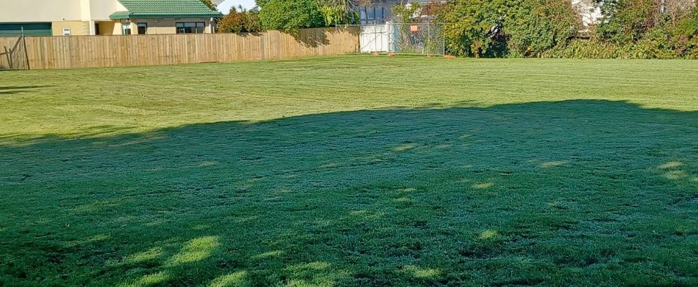Open grass area