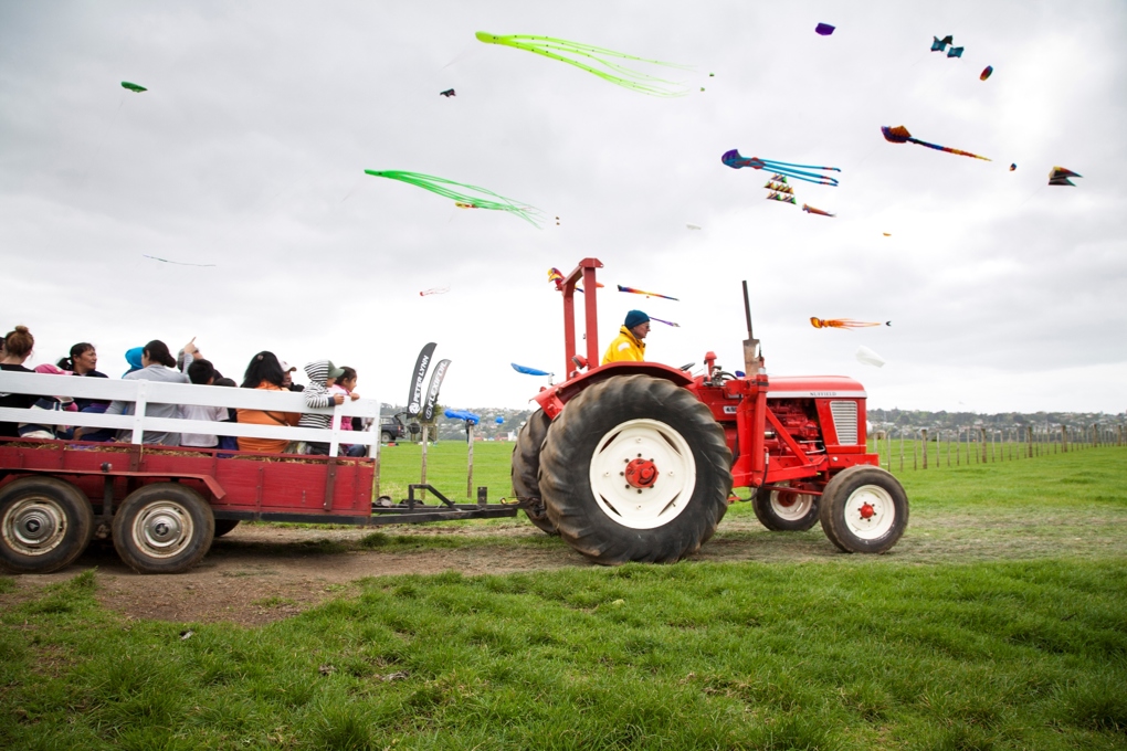 The story of Ambury Farm Day tractor