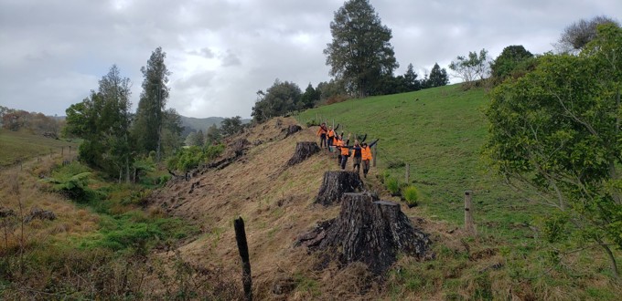 Community Workers in Orange Hi Ves Vests