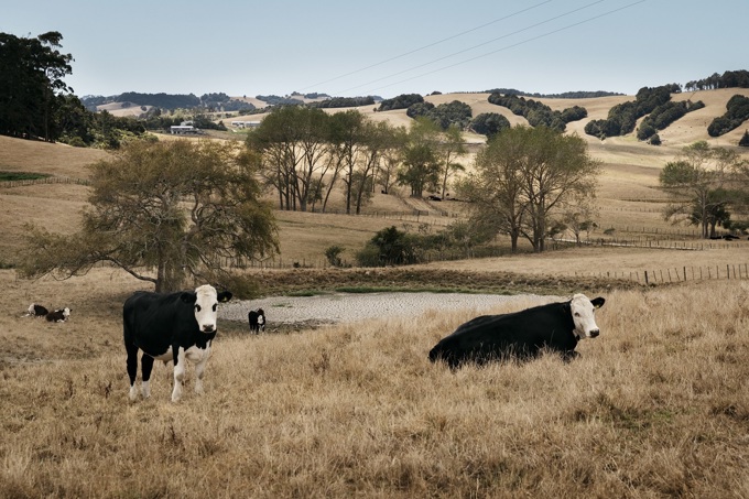 Te-Taruke-a-Tawhiri: Auckland’s Climate Plan launched