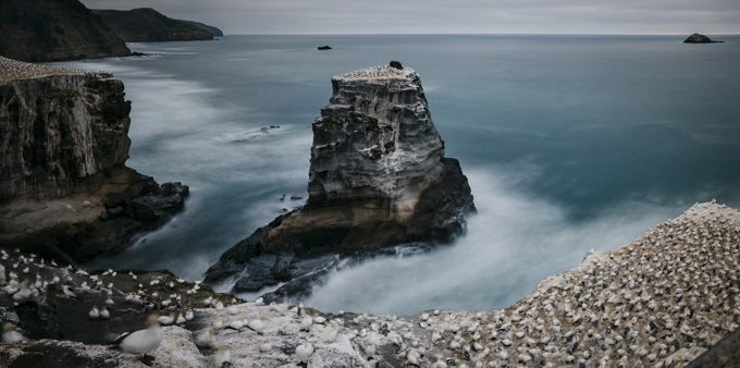 Your suggestions for our regional parks (1)