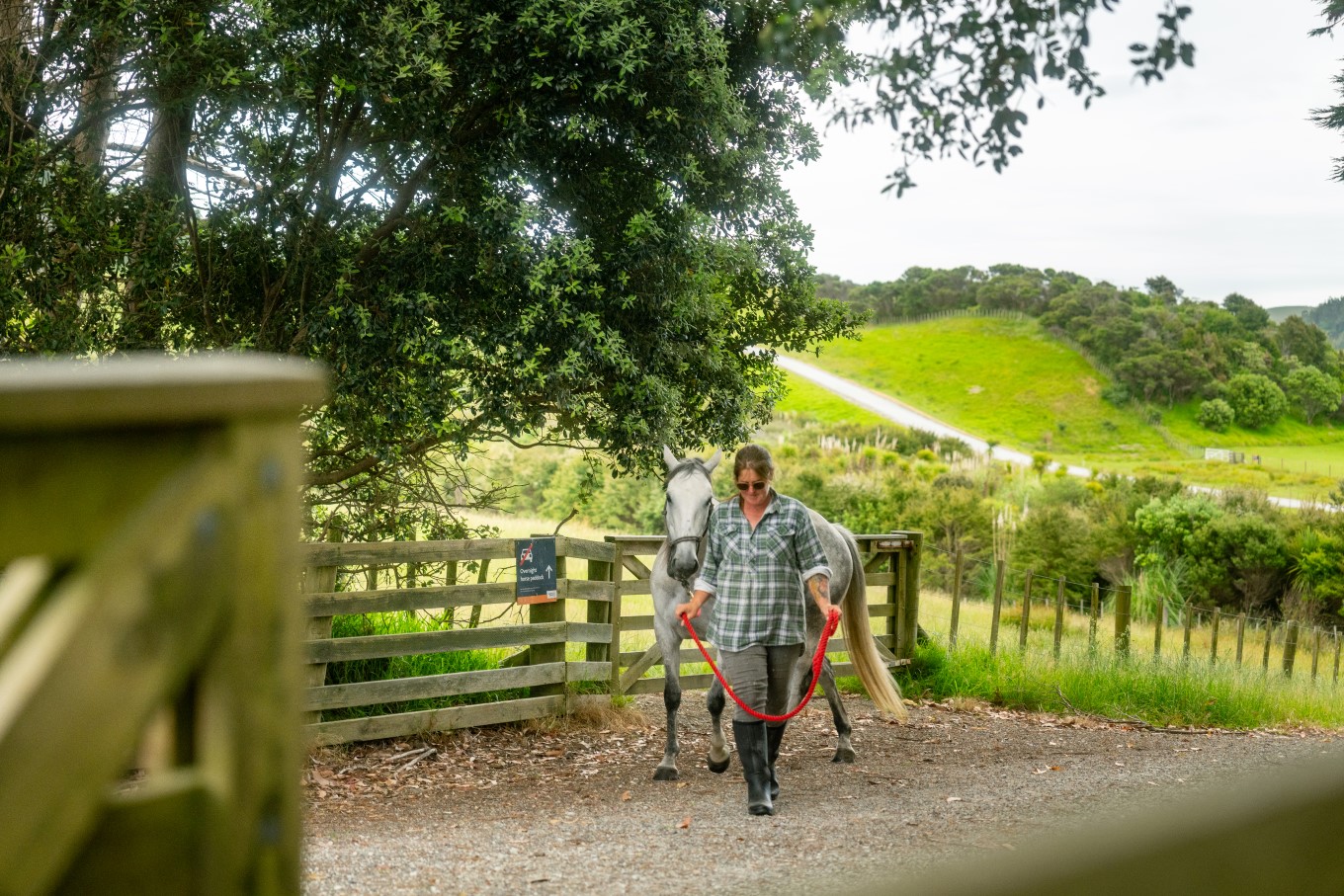 Rider tending to her horse. 