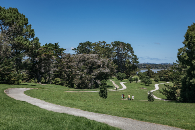 Multi-million dollar programmes benefit Upper Harbour residents