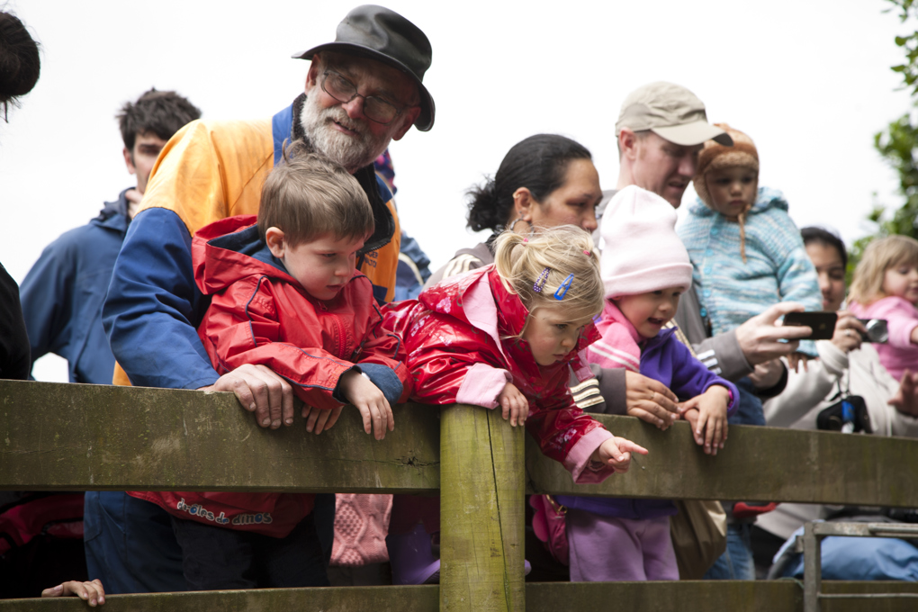 Have your say on how we manage Auckland's regional parks (4)