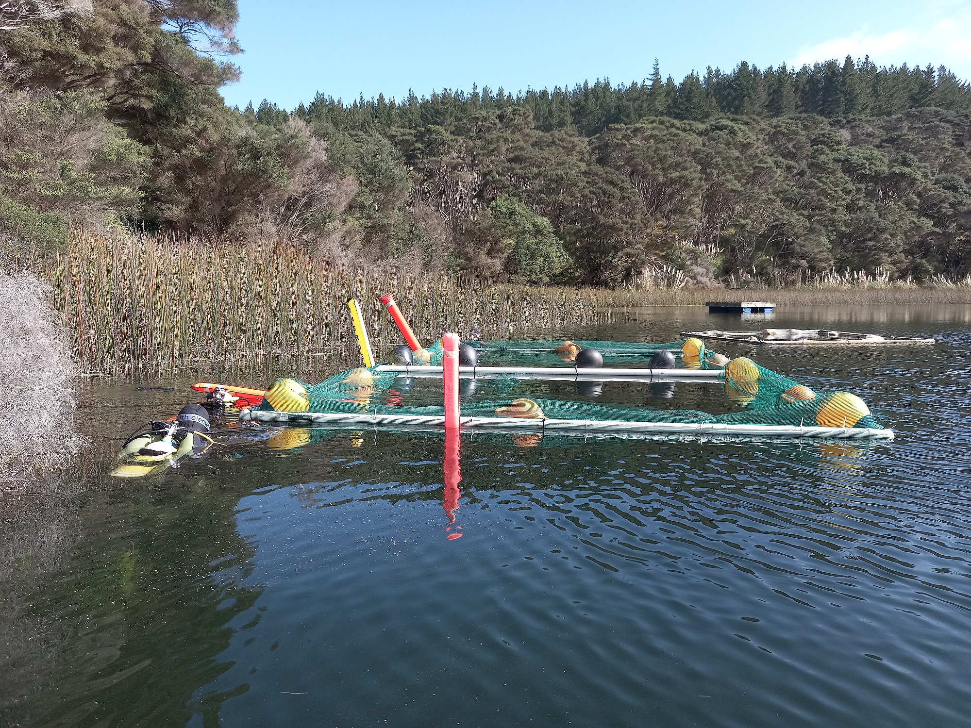 Frame for breeding kākahi in Lake Rototoa