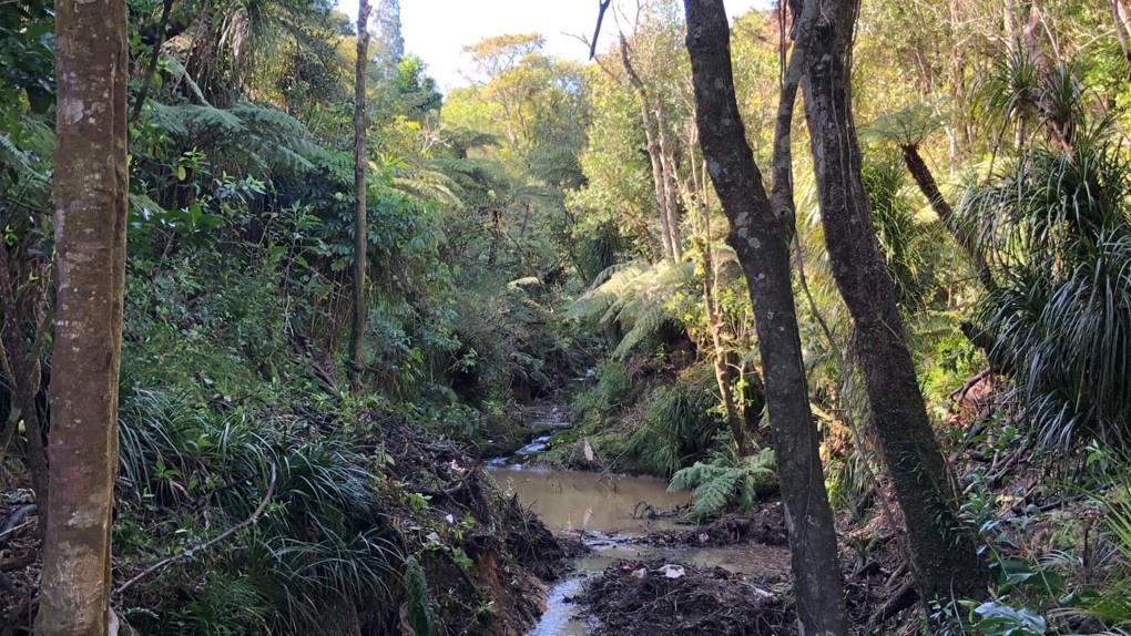 Wairaki Stream