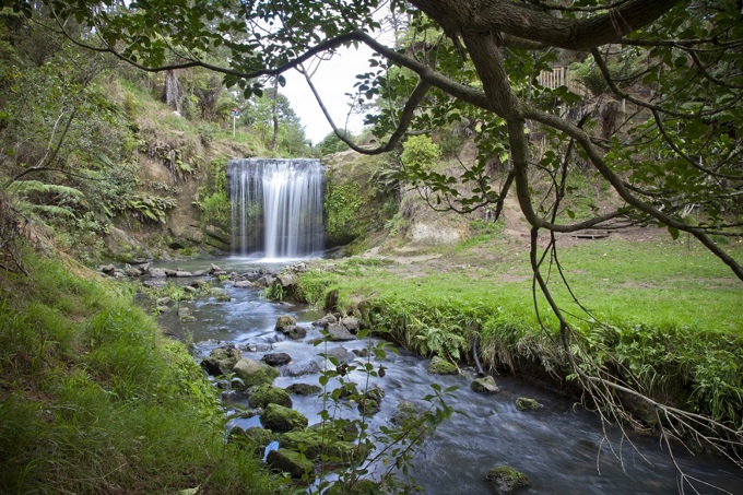 From drain to planted plain