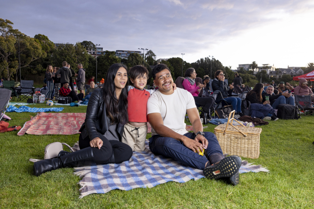 Movies In Parks