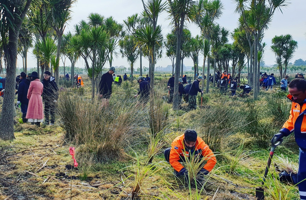 Tree Planting at Puhinui Reserve
