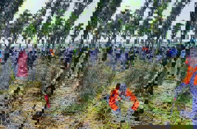 Tree Planting at Puhinui Reserve
