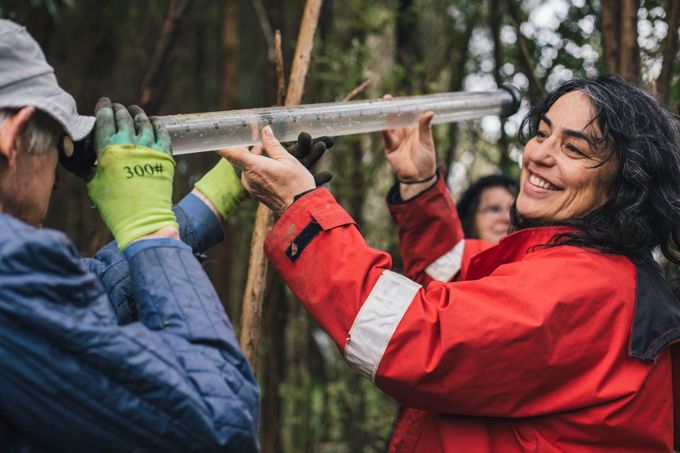 Eight priority projects leading Waitākere Ranges environment work
