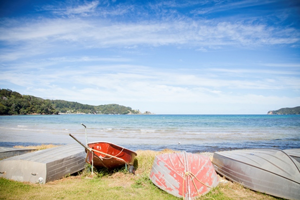 Spotlight on our neighbourhoods Great Barrier Island
