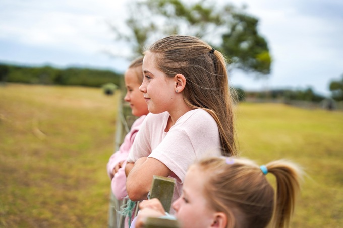 Ambury Farm 2 Credit Dan Harris