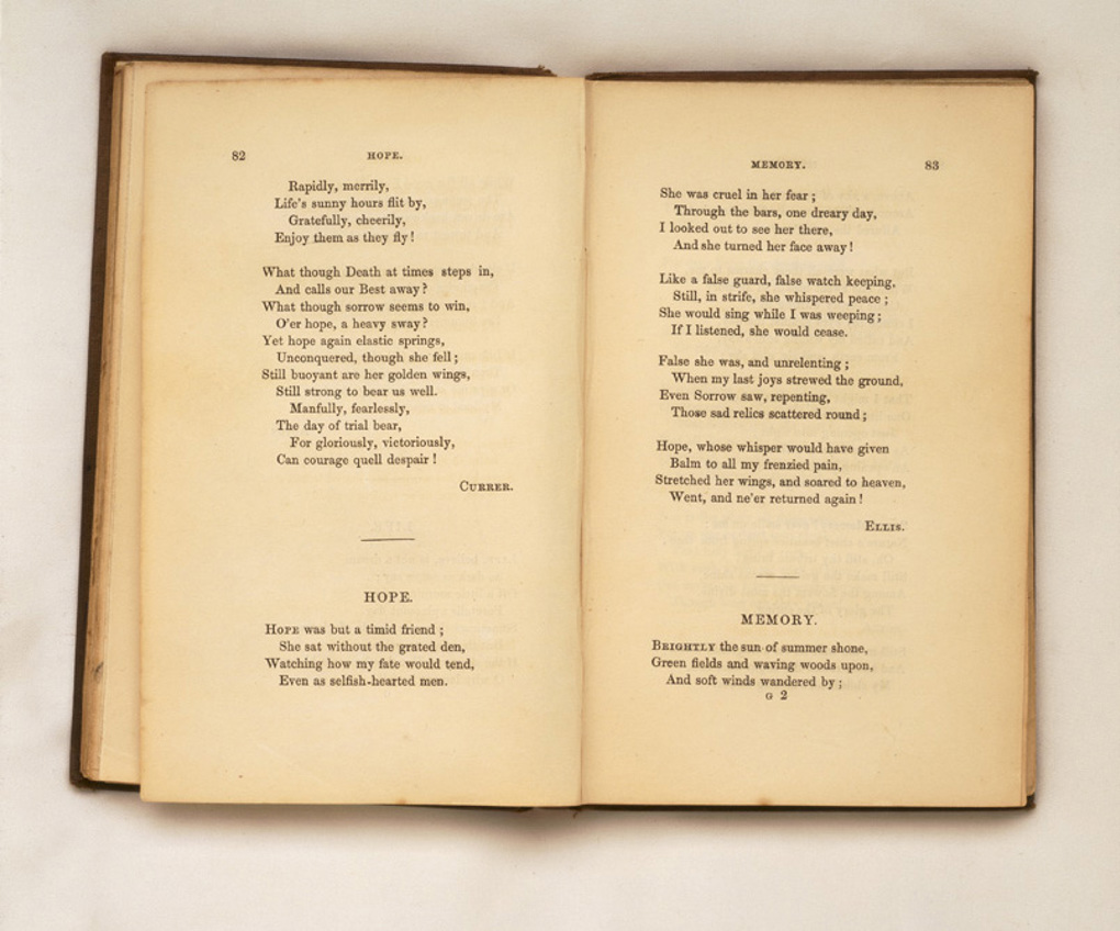 Libraries 1_Bronte Sisters in Auckland.jpg