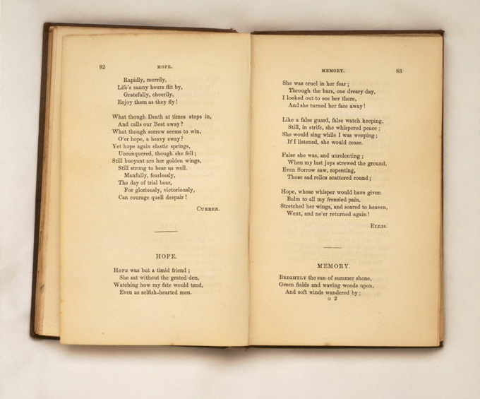 Libraries 1_Bronte Sisters in Auckland.jpg