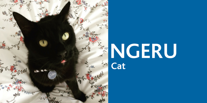 Te Kupu o te Wiki 10 July