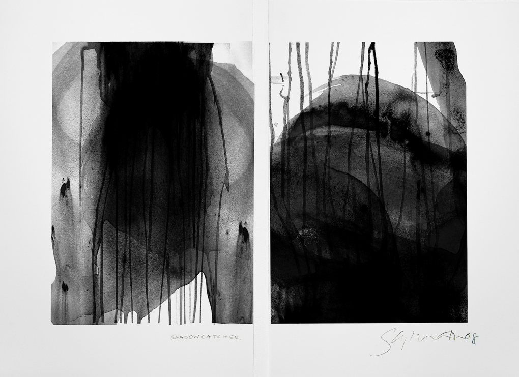 shadow catcher (1) copy_b14cneba.png