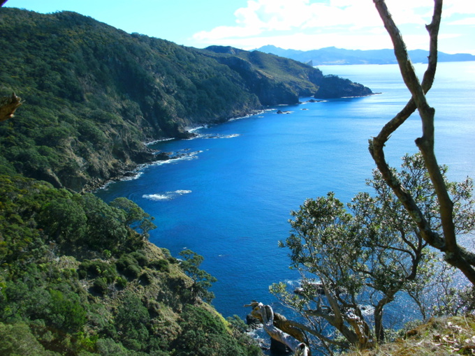 Waitemata Local Board supports more protection for Hauraki Gulf