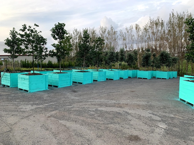 Street and school improvements to be trialled in Mangere