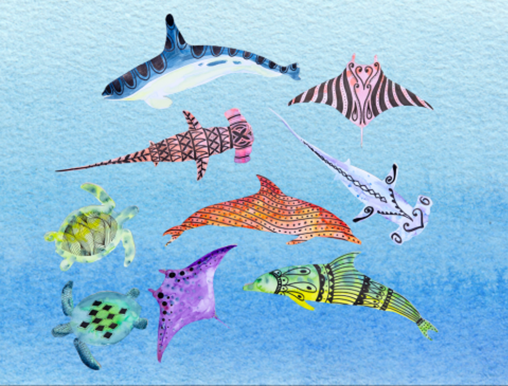 Our Akl Island Our Ocean Wildlife_3x20u1i4.png