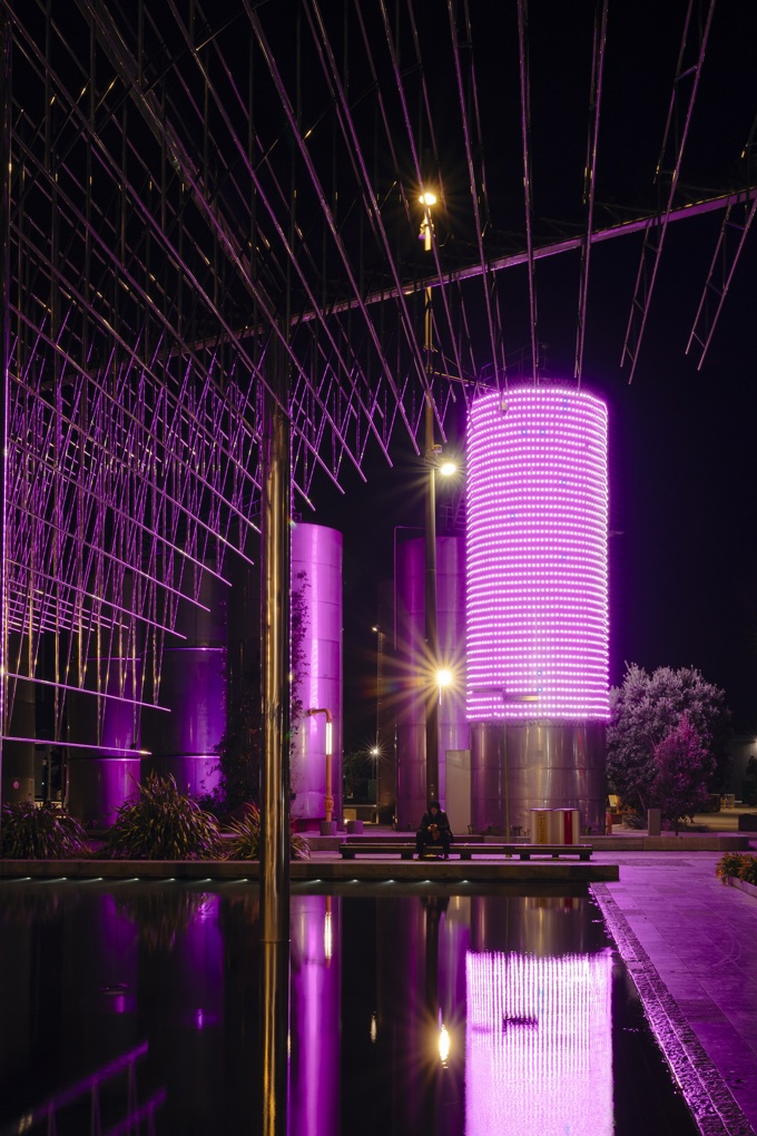 WQ Credit Luke Foley Martin @Lukefmphotography Resize