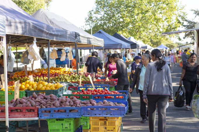 Explore the world in your own backyard with Taste of Puketapapa