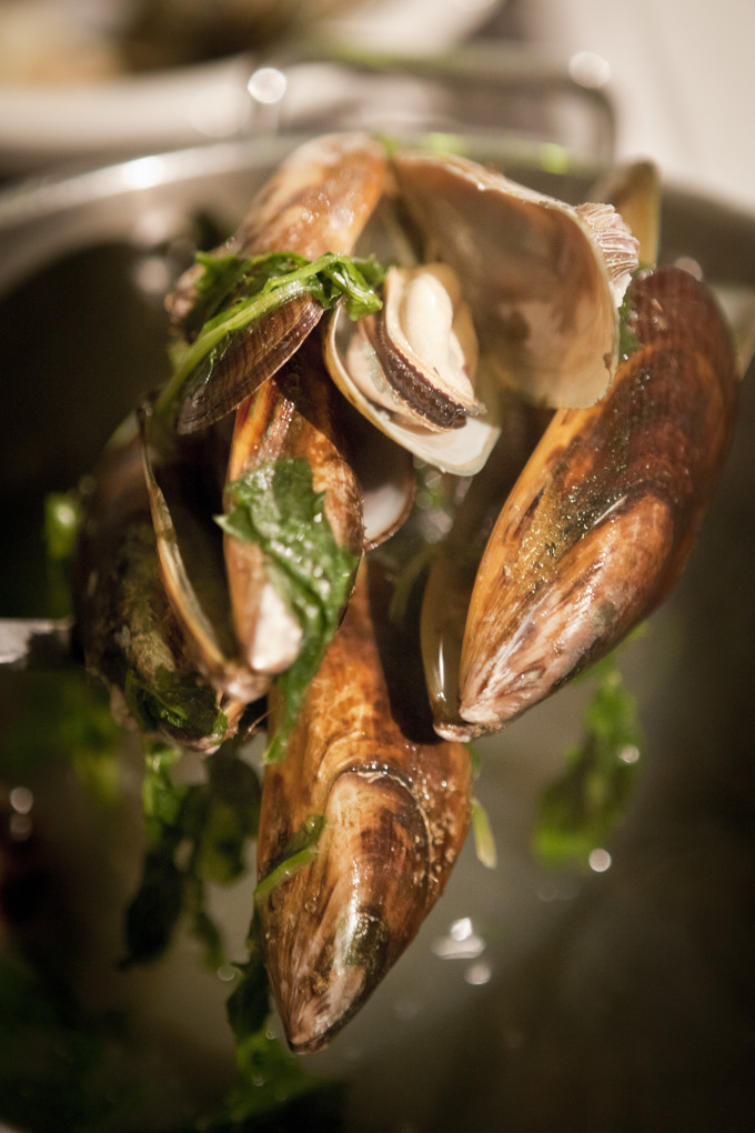 38 211671 Images Of Mussels Needs Permission Form Mikki Tae